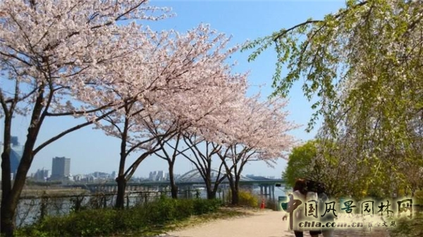 城市再生——從城市的傷痕中重拾景觀價值