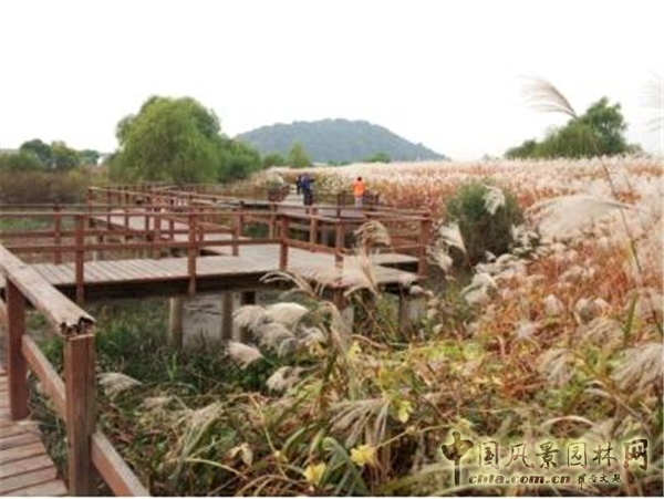 城市再生——從城市的傷痕中重拾景觀價值