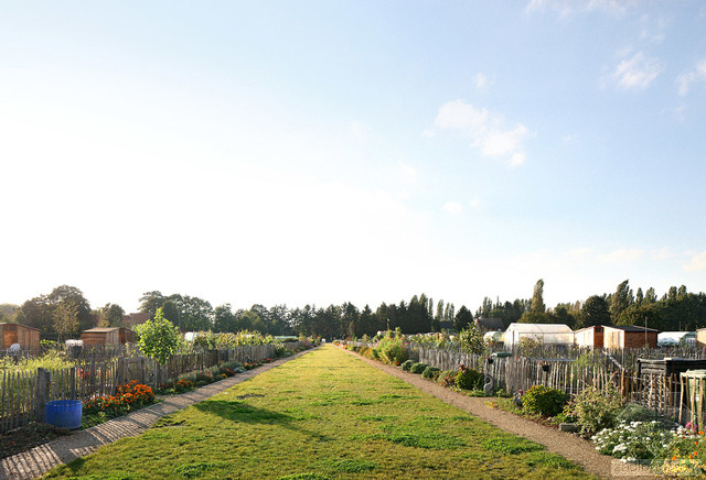 比利時安特衛普Groot Schijn公園景觀設計