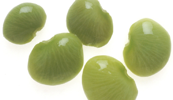 植物抗蟲性:打造最完美的“防御措施”