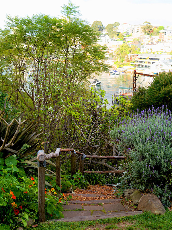 澳大利亞Wendy Whiteley住宅花園 