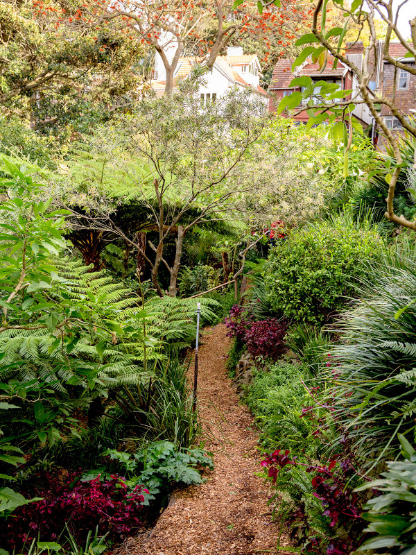 澳大利亞Wendy Whiteley住宅花園 