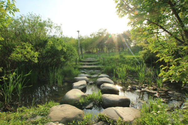 從垃圾島到世界杯公園的完美逆襲--蘭芝島