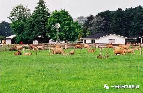 宋衛平的農林小鎮是怎么做的?