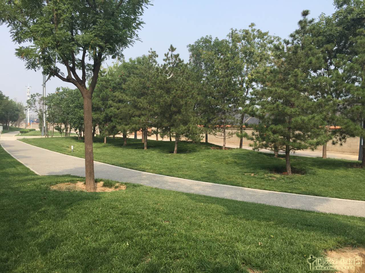 熱烈祝森源達園林成為CHLA理事單位