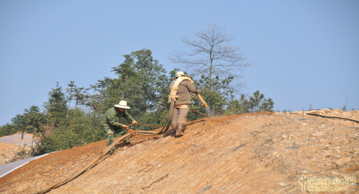 熱烈祝森源達園林成為CHLA理事單位