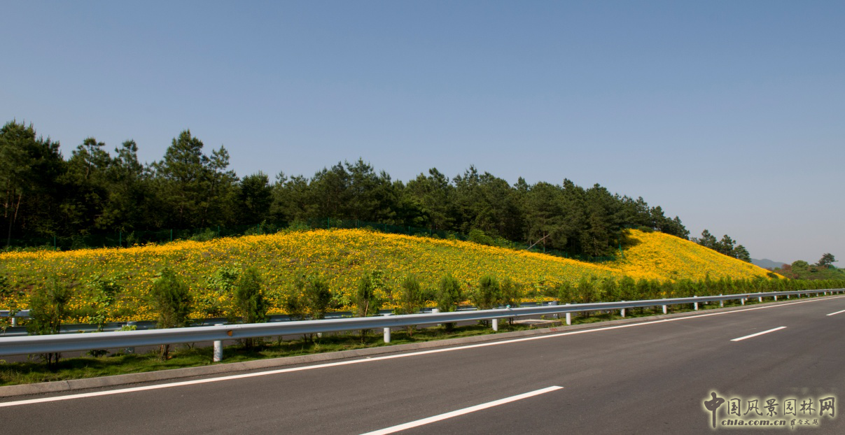 熱烈祝森源達園林成為CHLA理事單位