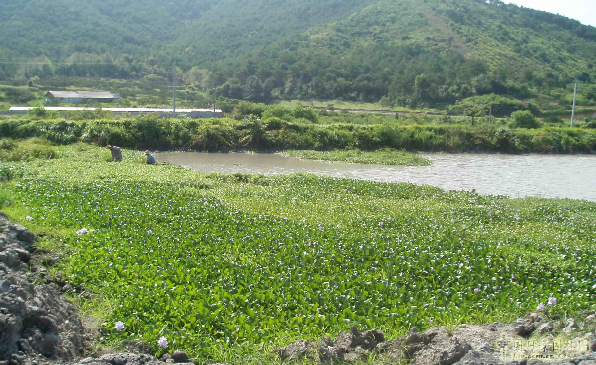 熱烈祝森源達園林成為CHLA理事單位