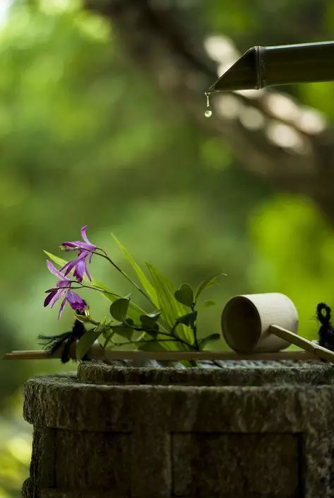 園林鑒賞:日本庭院中的美學禪意