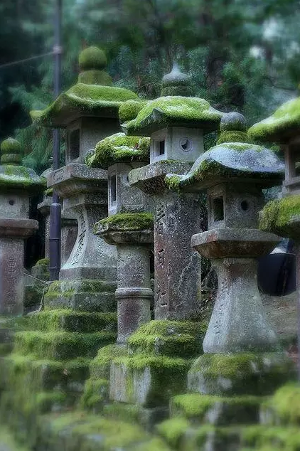 園林鑒賞:日本庭院中的美學(xué)禪意