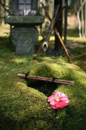 園林鑒賞:日本庭院中的美學禪意