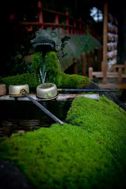 園林鑒賞：日本庭院中的美學禪意