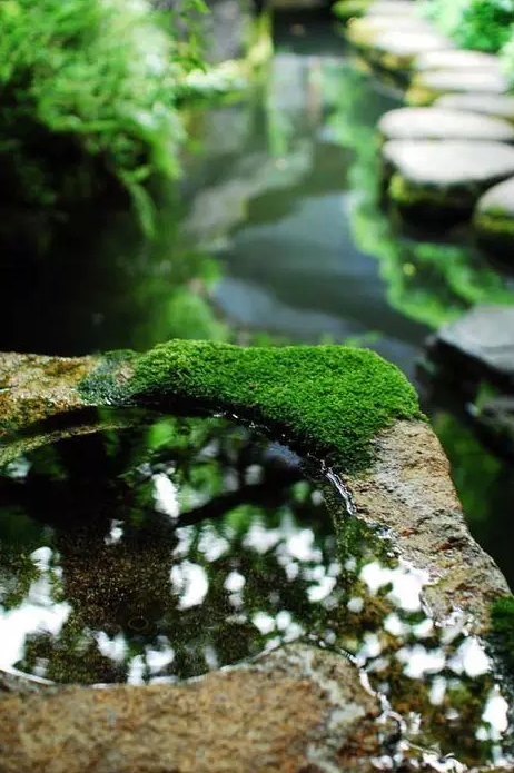 園林鑒賞：日本庭院中的美學禪意