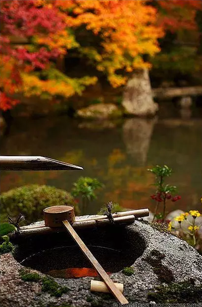 園林鑒賞:日本庭院中的美學(xué)禪意