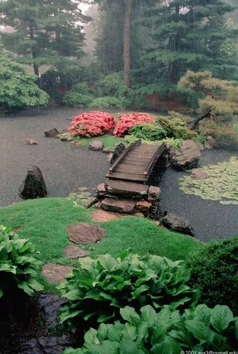 園林鑒賞:日本庭院中的美學禪意