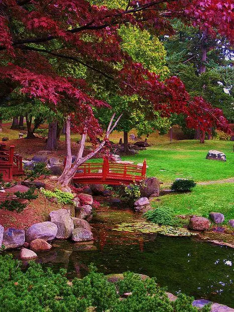 園林鑒賞:日本庭院中的美學(xué)禪意