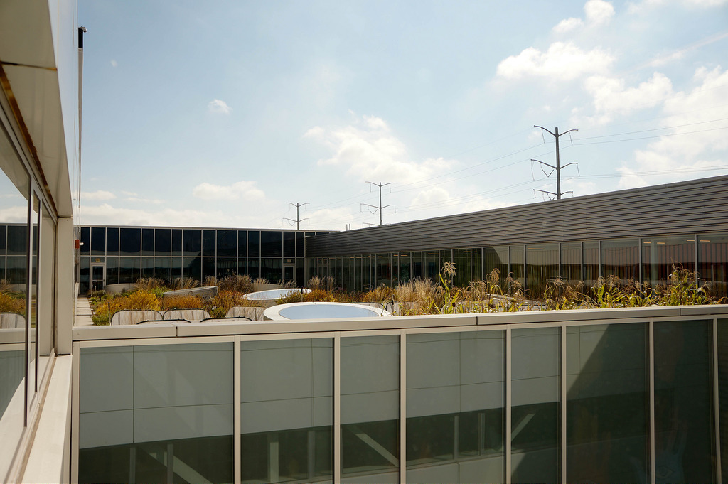 美國GaryComer青年活動中心綠色屋頂