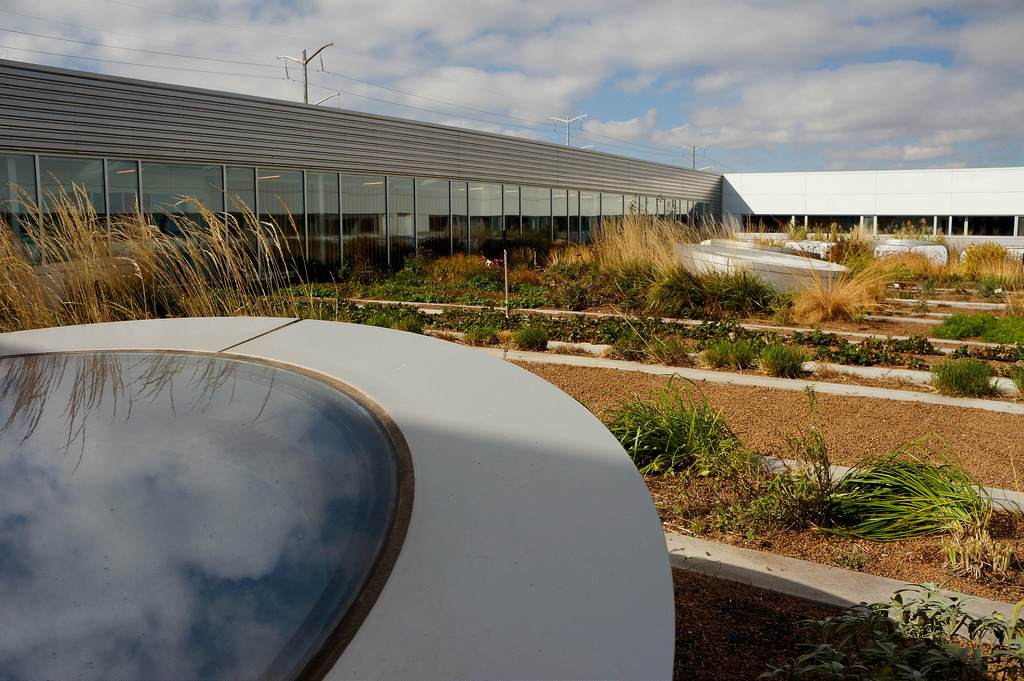 美國GaryComer青年活動中心綠色屋頂