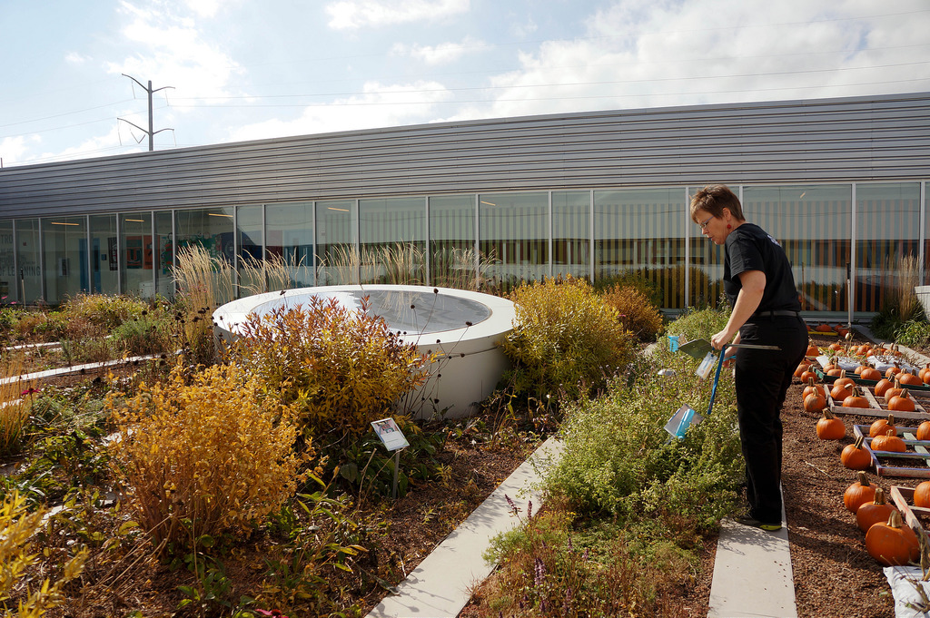 美國GaryComer青年活動中心綠色屋頂