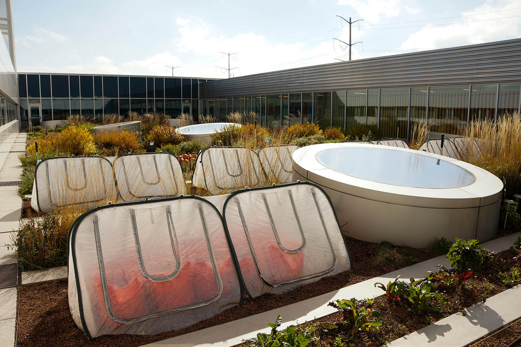 美國(guó)GaryComer青年活動(dòng)中心綠色屋頂