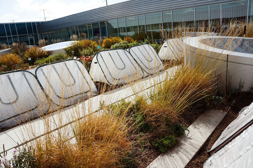 美國(guó)GaryComer青年活動(dòng)中心綠色屋頂