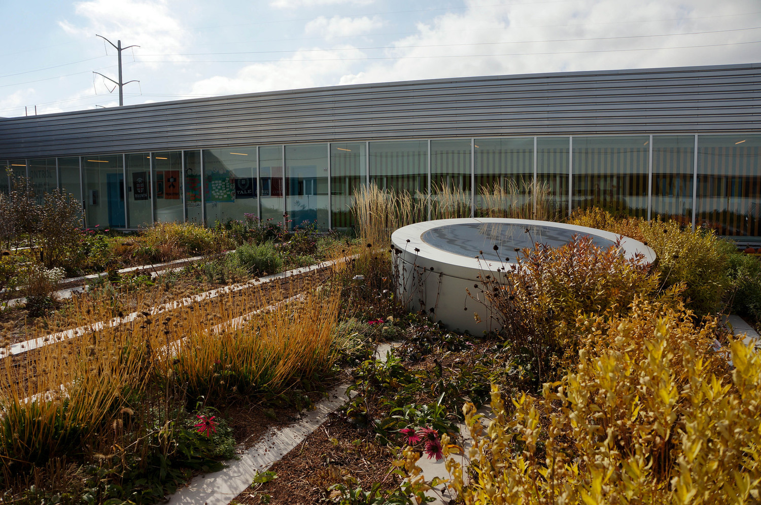 美國(guó)GaryComer青年活動(dòng)中心綠色屋頂