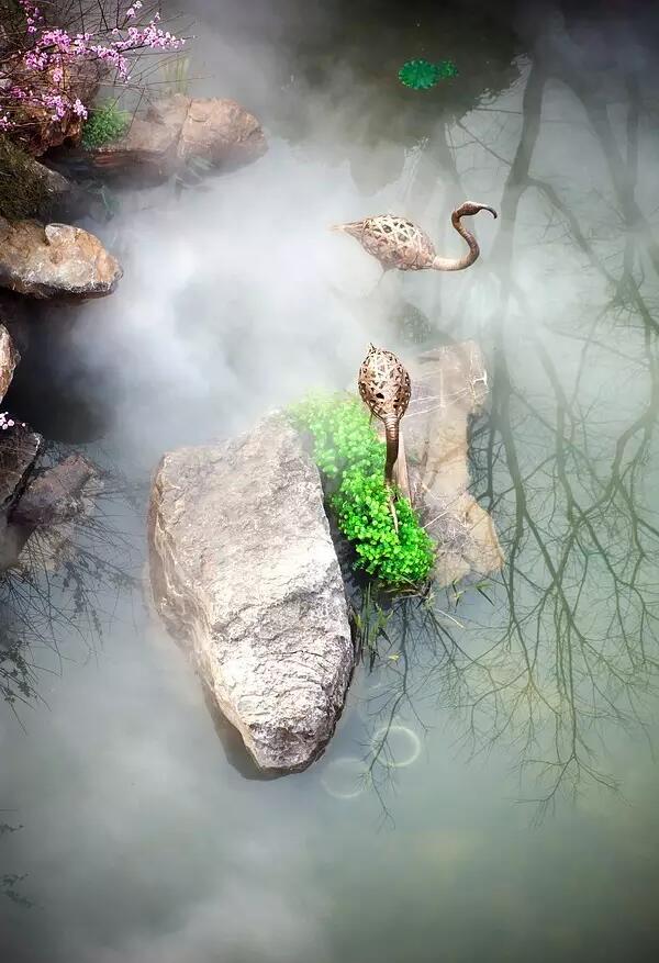 棕櫚工程:南京新城 · 璞樾鐘山