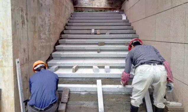 棕櫚工程:南京新城 · 璞樾鐘山