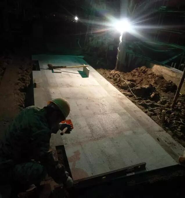 棕櫚工程:南京新城 · 璞樾鐘山