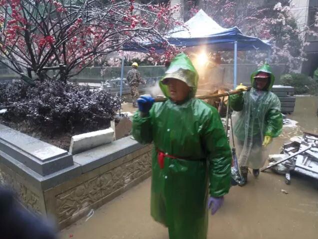 棕櫚工程:南京新城 · 璞樾鐘山