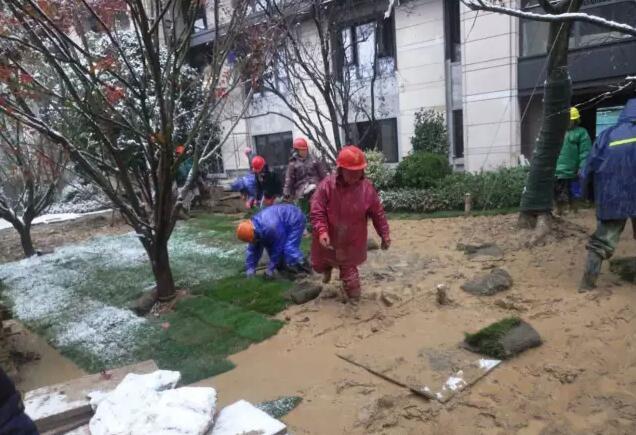 棕櫚工程:南京新城 · 璞樾鐘山