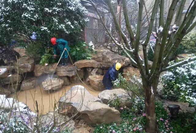 棕櫚工程:南京新城 · 璞樾鐘山