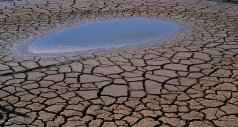 東方園林致力環(huán)保事業(yè) 還世界碧水藍(lán)天 