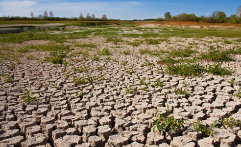 東方園林致力環(huán)保事業(yè) 還世界碧水藍(lán)天 