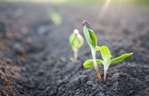 東方園林致力環保事業 還世界碧水藍天