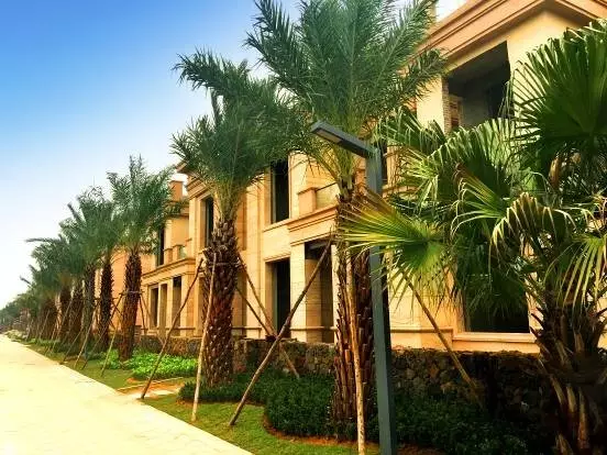 海口“香格里莊園”施工火熱進(jìn)行中