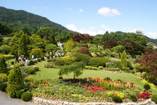 京畿道加平晨靜樹木園——賞楓賞菊的誘惑