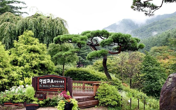 京畿道加平晨靜樹木園——賞楓賞菊的誘惑