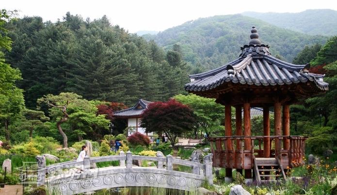 京畿道加平晨靜樹木園——賞楓賞菊的誘惑