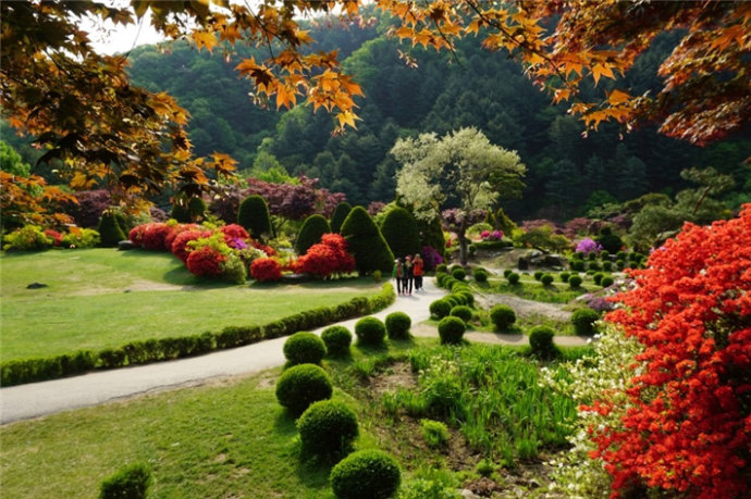 京畿道加平晨靜樹木園——賞楓賞菊的誘惑