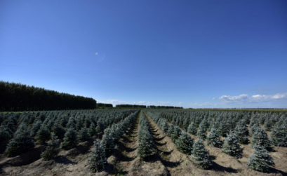 恭賀燕園農(nóng)業(yè)成為中國風(fēng)景園林網(wǎng)理事單位