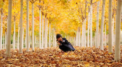 恭賀燕園農(nóng)業(yè)成為中國風(fēng)景園林網(wǎng)理事單位