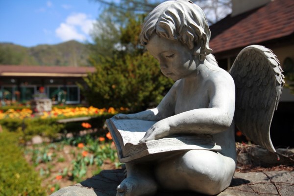 締造通話——韓國香草王國農(nóng)園