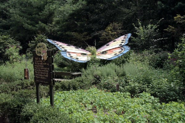 締造通話——韓國香草王國農園