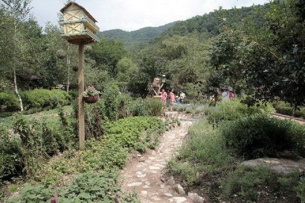 締造通話——韓國香草王國農園