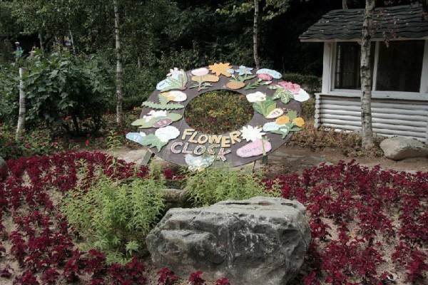 締造通話——韓國香草王國農園