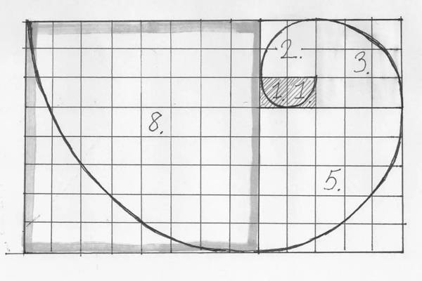 斐波那契花菜,植物也有數學秘密