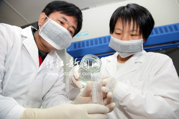 撩開實驗室里育種的神秘面紗