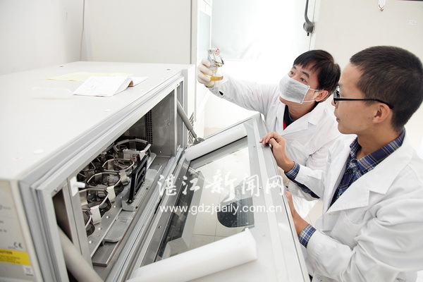 撩開實驗室里育種的神秘面紗