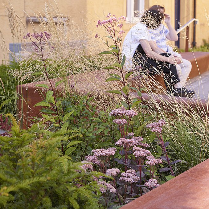 愛(ài)丁堡大學(xué):地方特色和歷史文化的碰撞